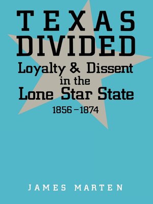 cover image of Texas Divided